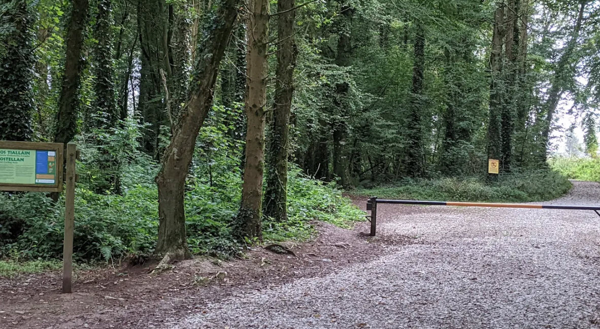 Rostellan Woods Forest Recreational Area, Ireland